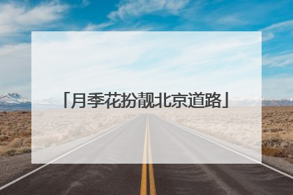 月季花扮靓北京道路