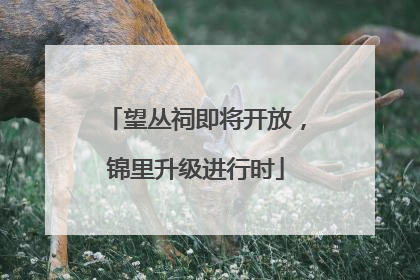望丛祠即将开放，锦里升级进行时