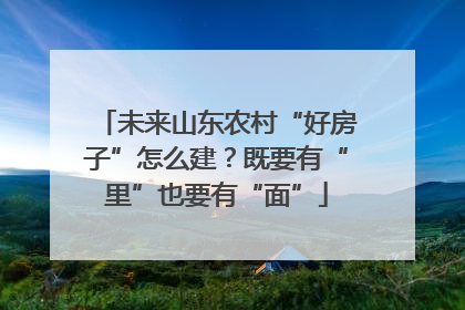 未来山东农村“好房子”怎么建？既要有“里”也要有“面”