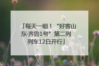 每天一组！“好客山东·齐鲁1号”第二列列车12日开行