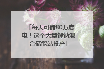 每天可储80万度电！这个大型锂钠混合储能站投产