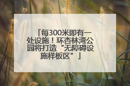 每300米即有一处设施！环杏林湾公园将打造“无障碍设施样板区”