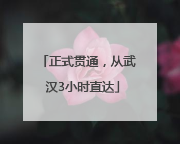 正式贯通，从武汉3小时直达