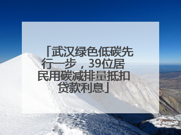 武汉绿色低碳先行一步，39位居民用碳减排量抵扣贷款利息