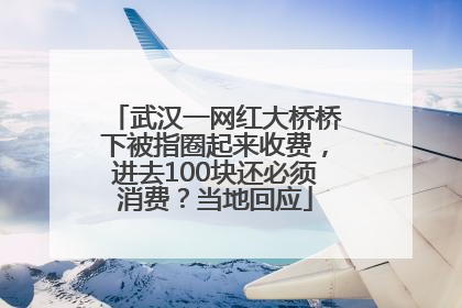 武汉一网红大桥桥下被指圈起来收费，进去100块还必须消费？当地回应