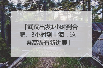 武汉出发1小时到合肥、3小时到上海，这条高铁有新进展