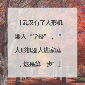 武汉有了人形机器人“学校”，“人形机器人进家庭，这是第一步”