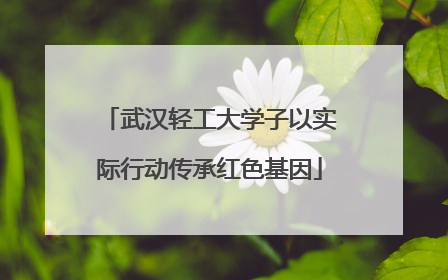 武汉轻工大学子以实际行动传承红色基因
