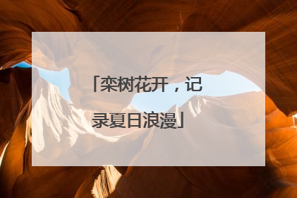 栾树花开，记录夏日浪漫