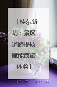 桂东新坊：景区道路提质赋能康旅体验