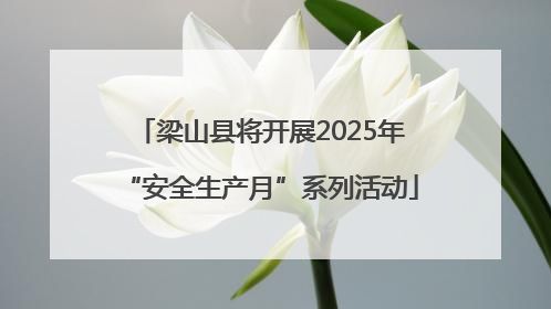 梁山县将开展2025年“安全生产月”系列活动