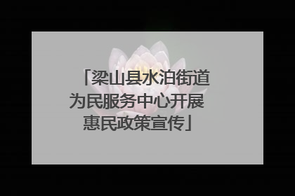 梁山县水泊街道为民服务中心开展惠民政策宣传
