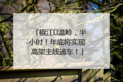 椒江⇌温岭，半小时！年底将实现高架主线通车！