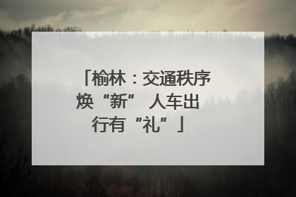 榆林：交通秩序焕“新” 人车出行有“礼”