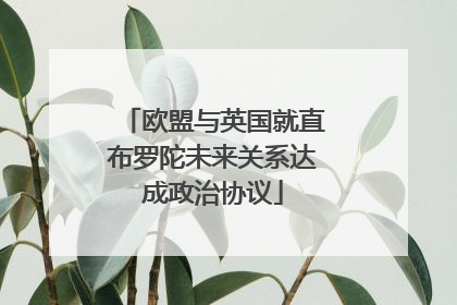 欧盟与英国就直布罗陀未来关系达成政治协议