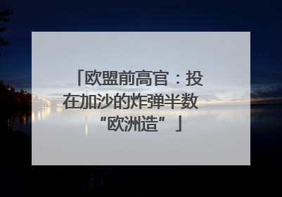 欧盟前高官：投在加沙的炸弹半数“欧洲造”