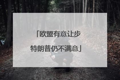 欧盟有意让步 特朗普仍不满意