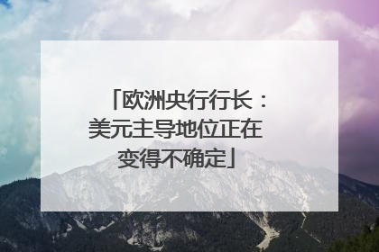 欧洲央行行长：美元主导地位正在变得不确定
