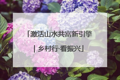 激活山水共富新引擎｜乡村行·看振兴