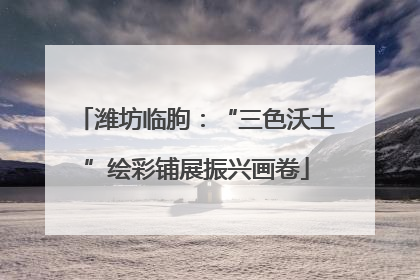 潍坊临朐：“三色沃土”绘彩铺展振兴画卷