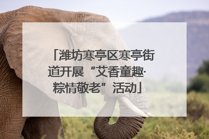潍坊寒亭区寒亭街道开展“艾香童趣·粽情敬老”活动
