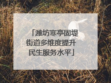 潍坊寒亭固堤街道多维度提升民生服务水平