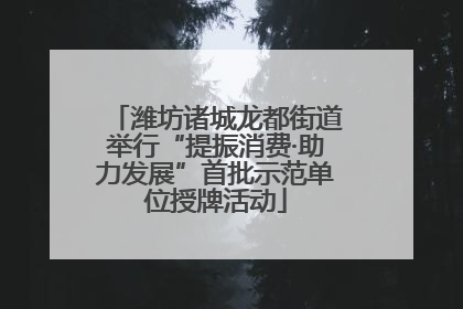 潍坊诸城龙都街道举行“提振消费·助力发展”首批示范单位授牌活动