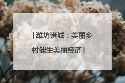 潍坊诸城：美丽乡村催生美丽经济