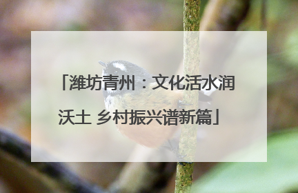 潍坊青州：文化活水润沃土 乡村振兴谱新篇