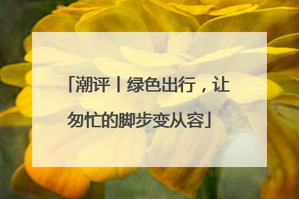 潮评丨绿色出行，让匆忙的脚步变从容