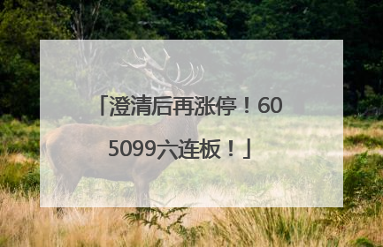 澄清后再涨停！605099六连板！