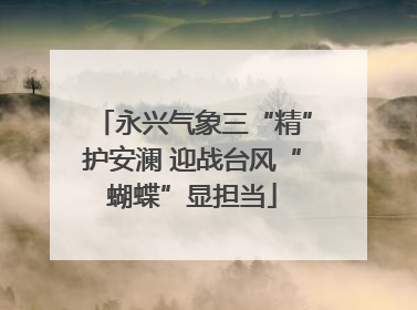 永兴气象三“精”护安澜 迎战台风“蝴蝶”显担当