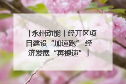 永州动能丨经开区项目建设“加速跑” 经济发展“再提速”