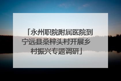 永州职院附属医院到宁远县桑梓头村开展乡村振兴专题调研
