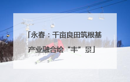 永春：千亩良田筑根基 产业融合绘“丰”景