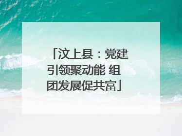 汶上县：党建引领聚动能 组团发展促共富