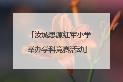 汝城思源红军小学举办学科竞赛活动