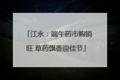 江永：端午药市购销旺 草药飘香迎佳节