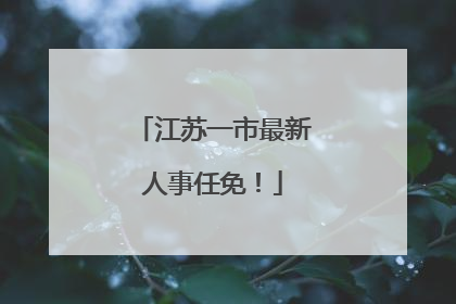 江苏一市最新人事任免！