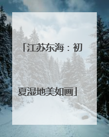 江苏东海：初夏湿地美如画