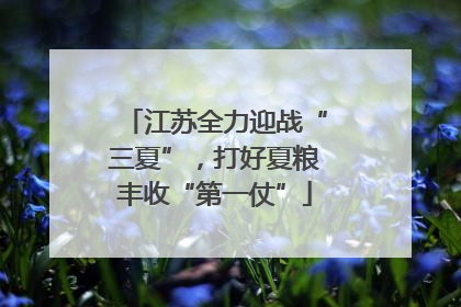 江苏全力迎战“三夏”，打好夏粮丰收“第一仗”