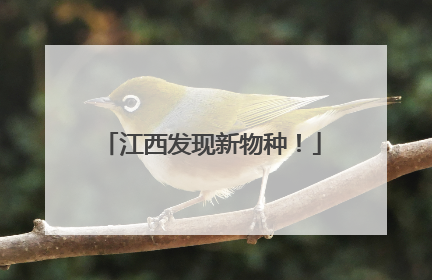 江西发现新物种！