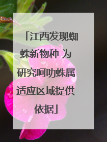 江西发现蜘蛛新物种 为研究呵叻蛛属适应区域提供依据