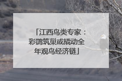 江西鸟类专家：彩鹮筑巢或撬动全年观鸟经济链