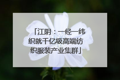 江阴：一经一纬织就千亿级高端纺织服装产业集群