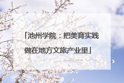 池州学院：把美育实践做在地方文旅产业里