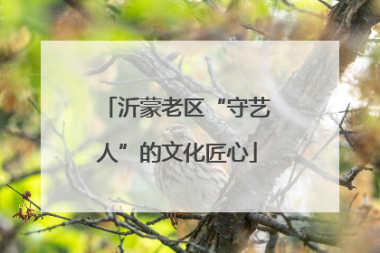 沂蒙老区“守艺人”的文化匠心