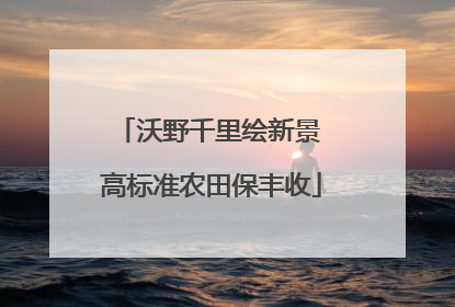 沃野千里绘新景 高标准农田保丰收