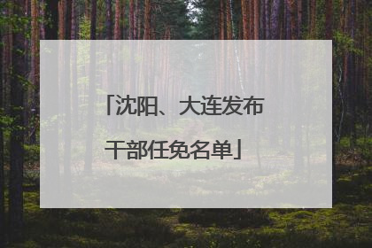 沈阳、大连发布干部任免名单