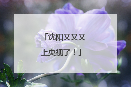 沈阳又又又上央视了！